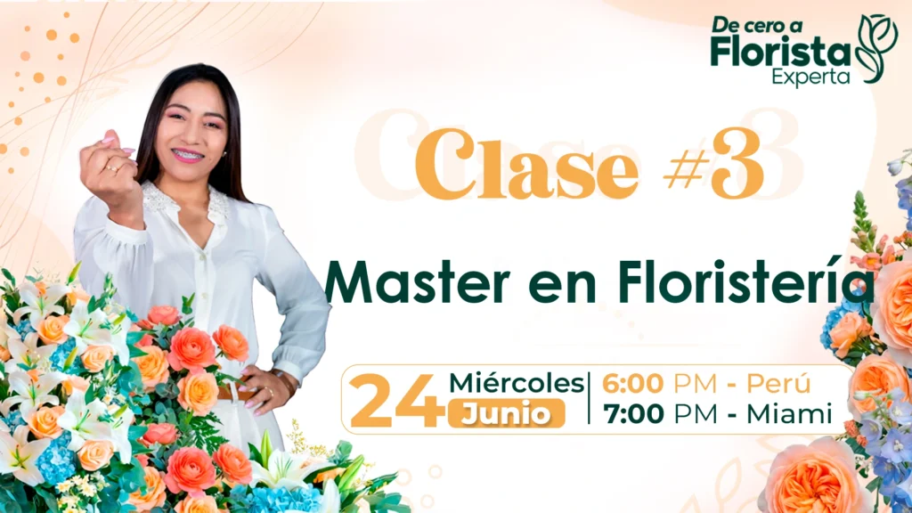 CLASES 3